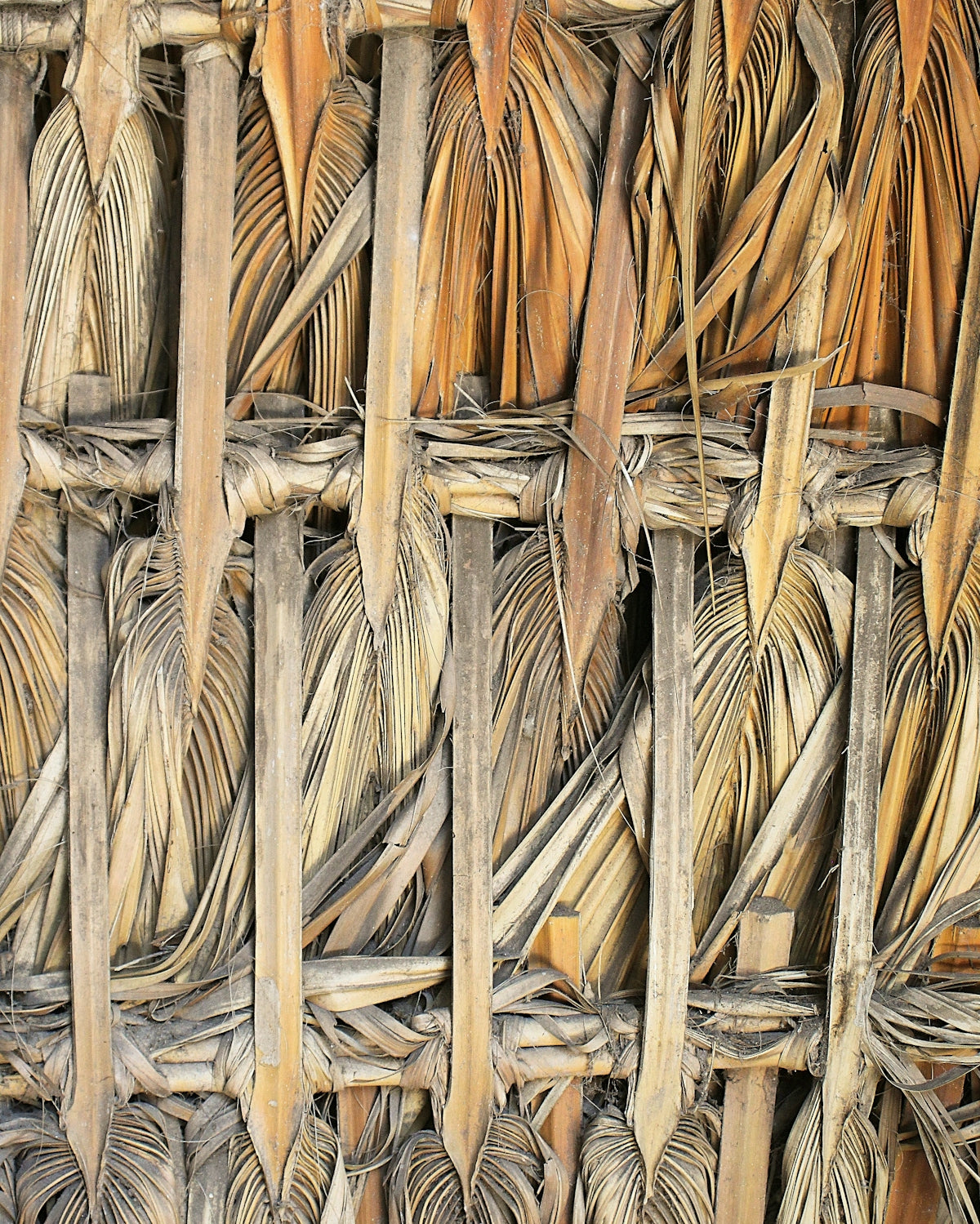 a close up of a wall made of bamboo sticks