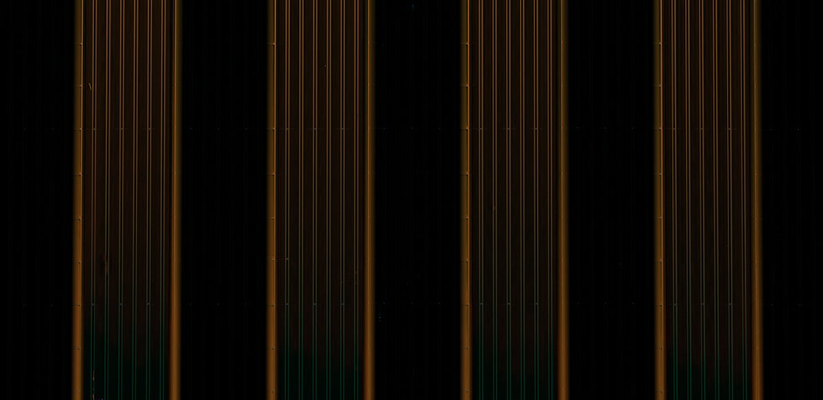 Vertical lines with varying brown and green tones.