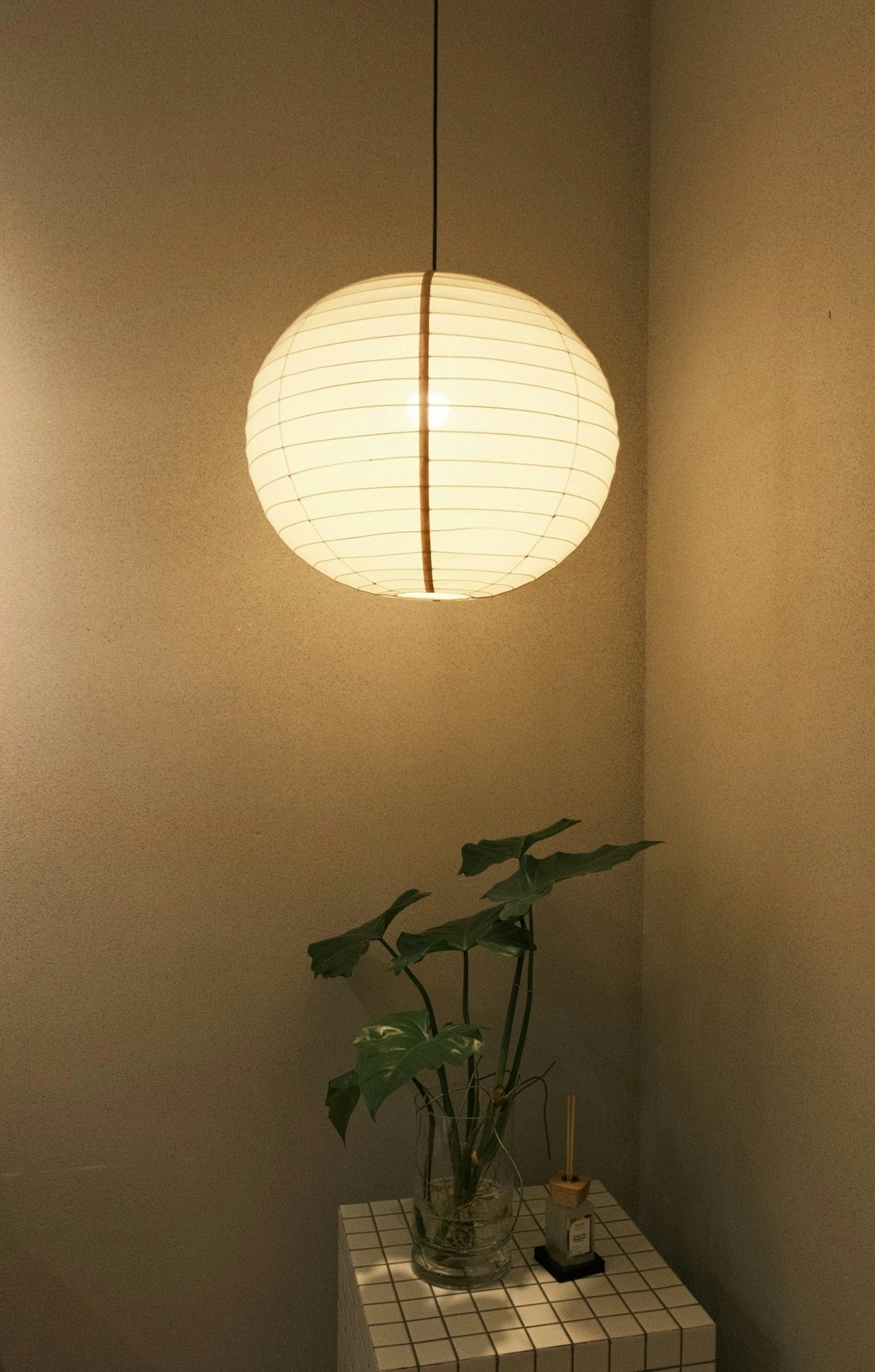 Paper lantern hangs above a plant on a table.