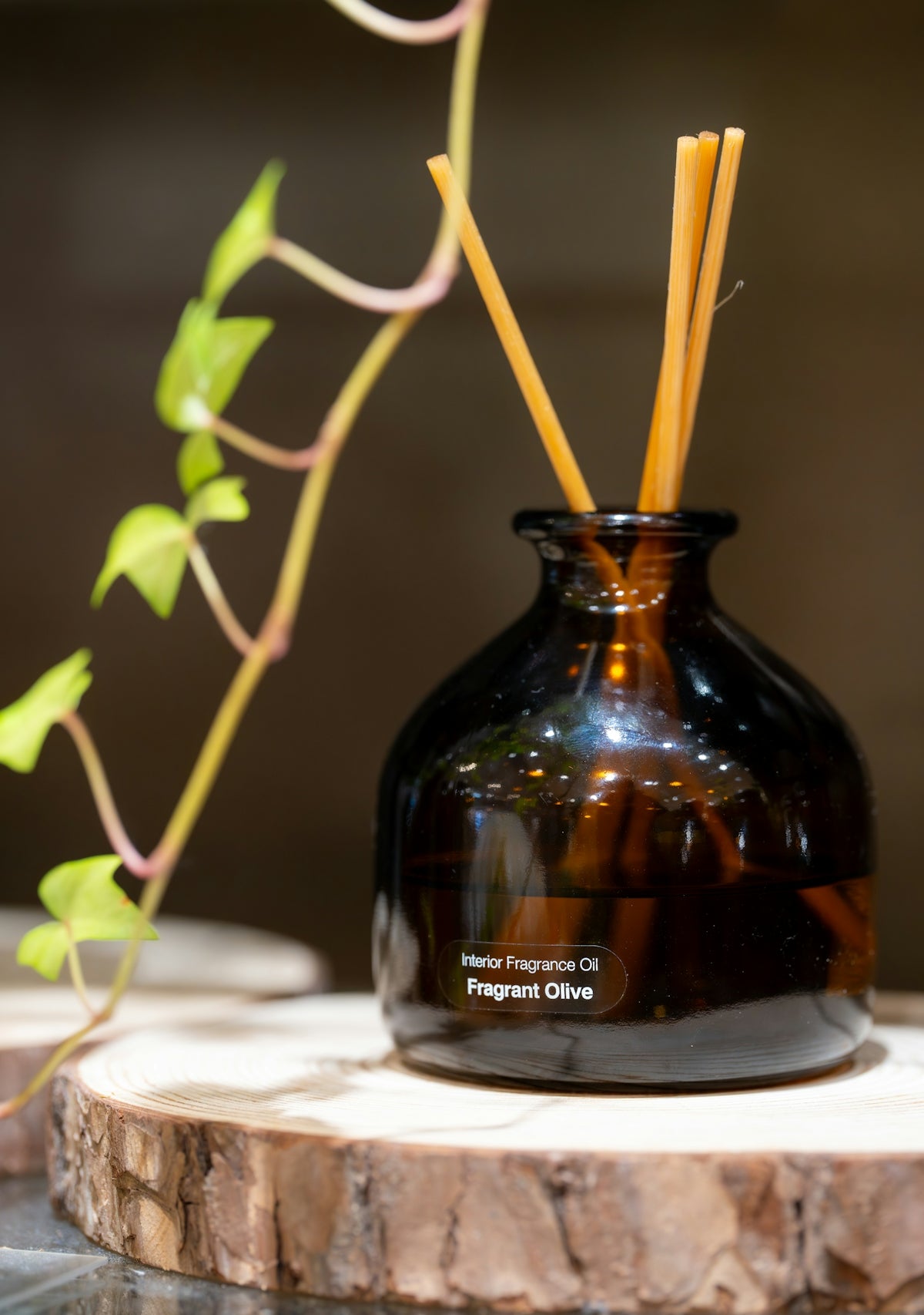 Amber glass diffuser with reeds and plant