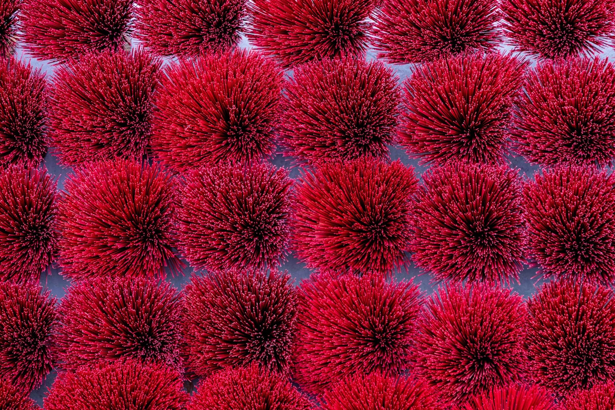 Rows of fluffy red pom-poms on a light background