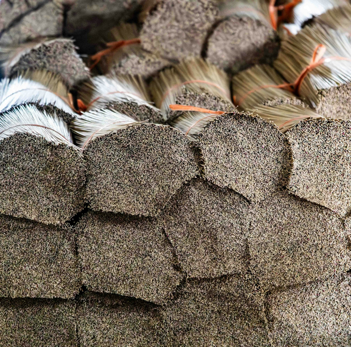 Bundles of dried grass and feathers tied with orange string