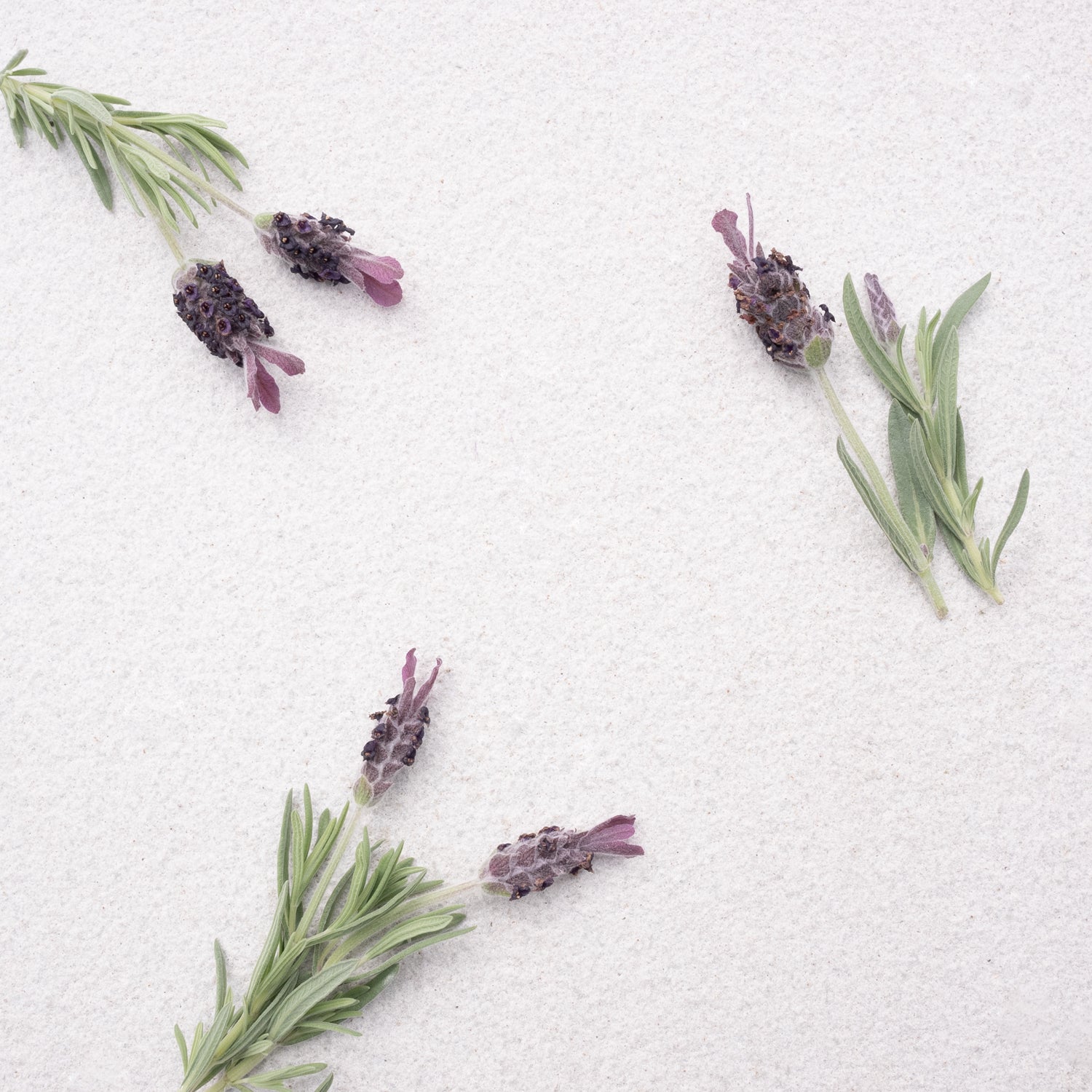 Lavender Dreams Scented Candle - Fosse Living | Luxury Home Fragrances