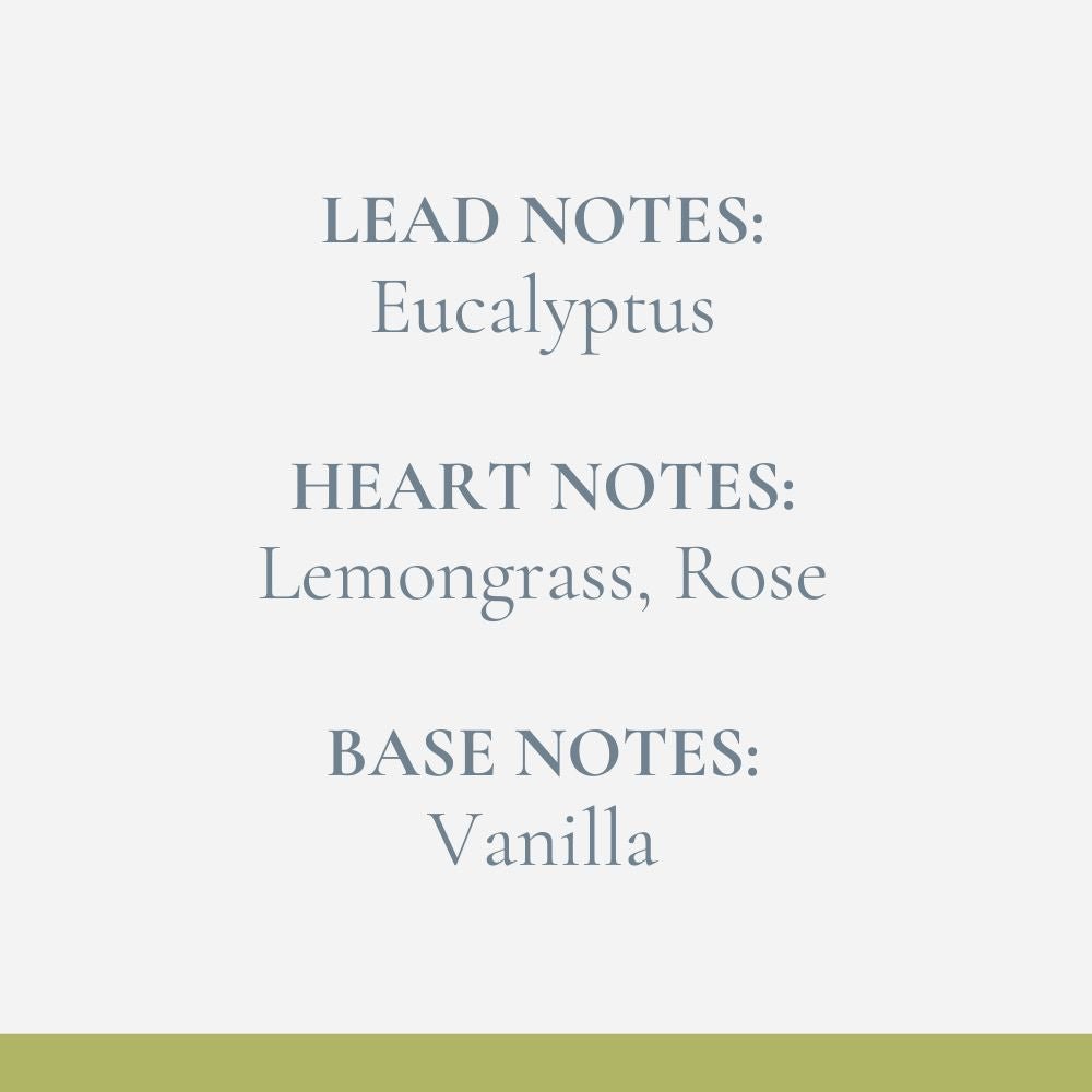 Lemongrass reed diffuser refill 200ml scent notes