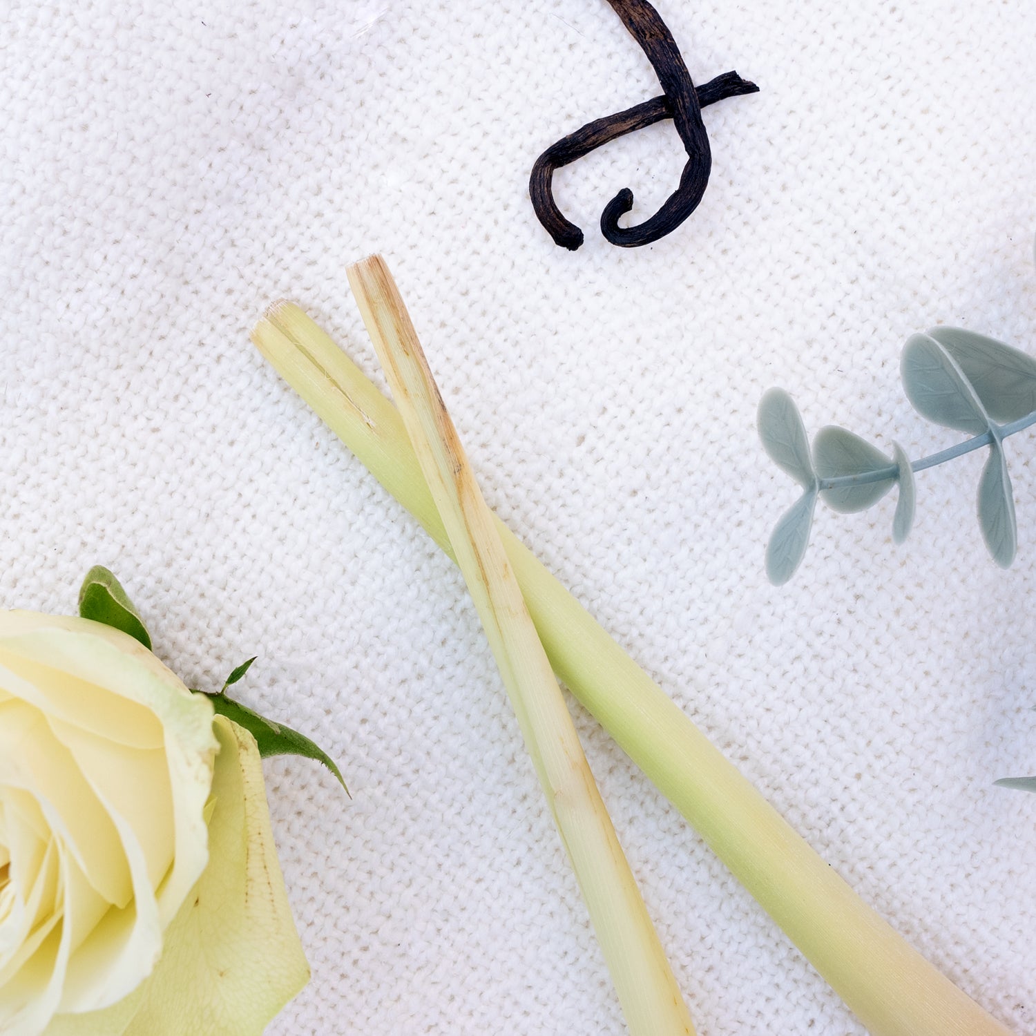 Lemongrass Scented Candle