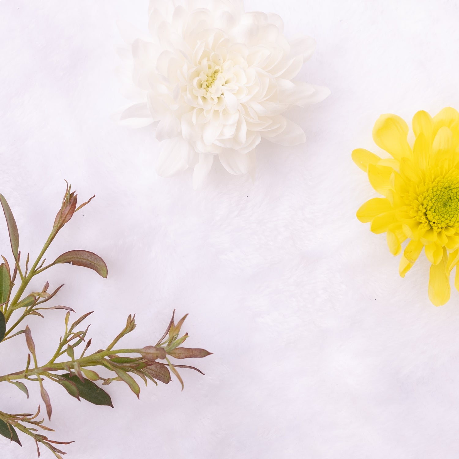 Neroli & Ylang Ylang Reed Diffuser