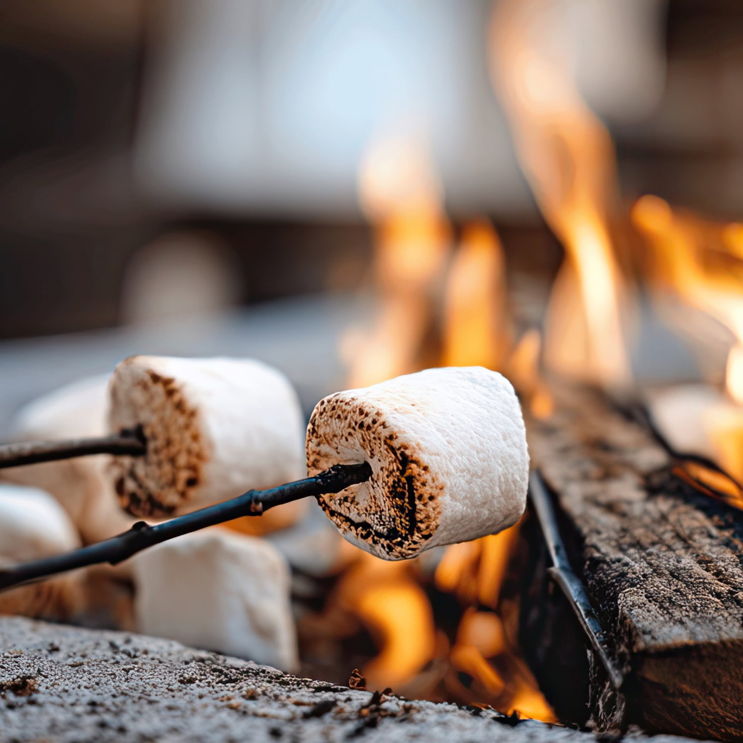 Toasted Marshmallow Scented Candle
