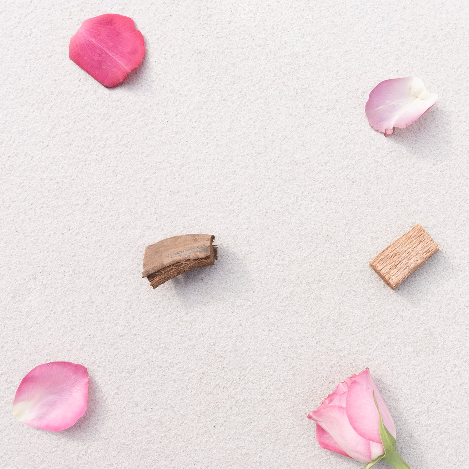 Velvet Rose & Oud Wax Melts - 16 Pack