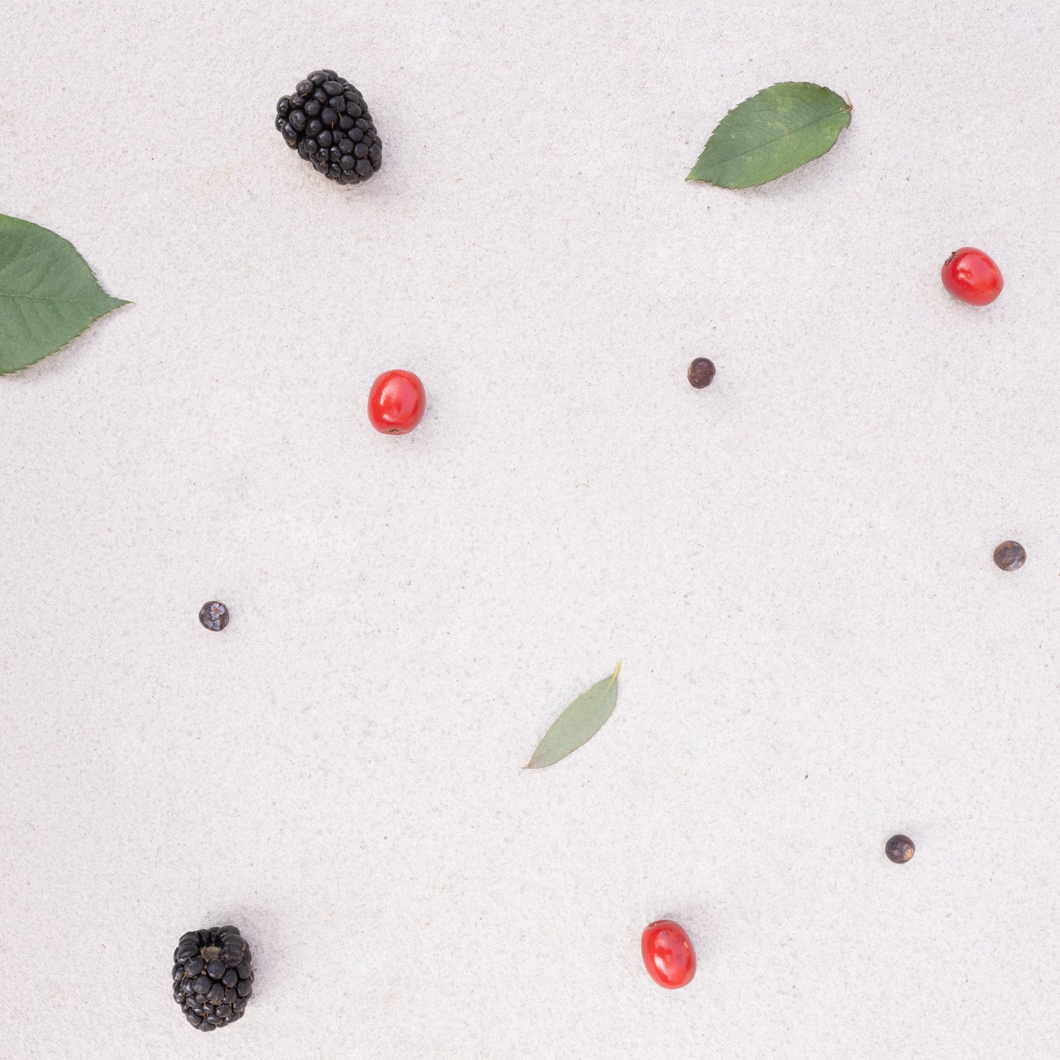 Woodland Berries Wax Melts - 16 Pack