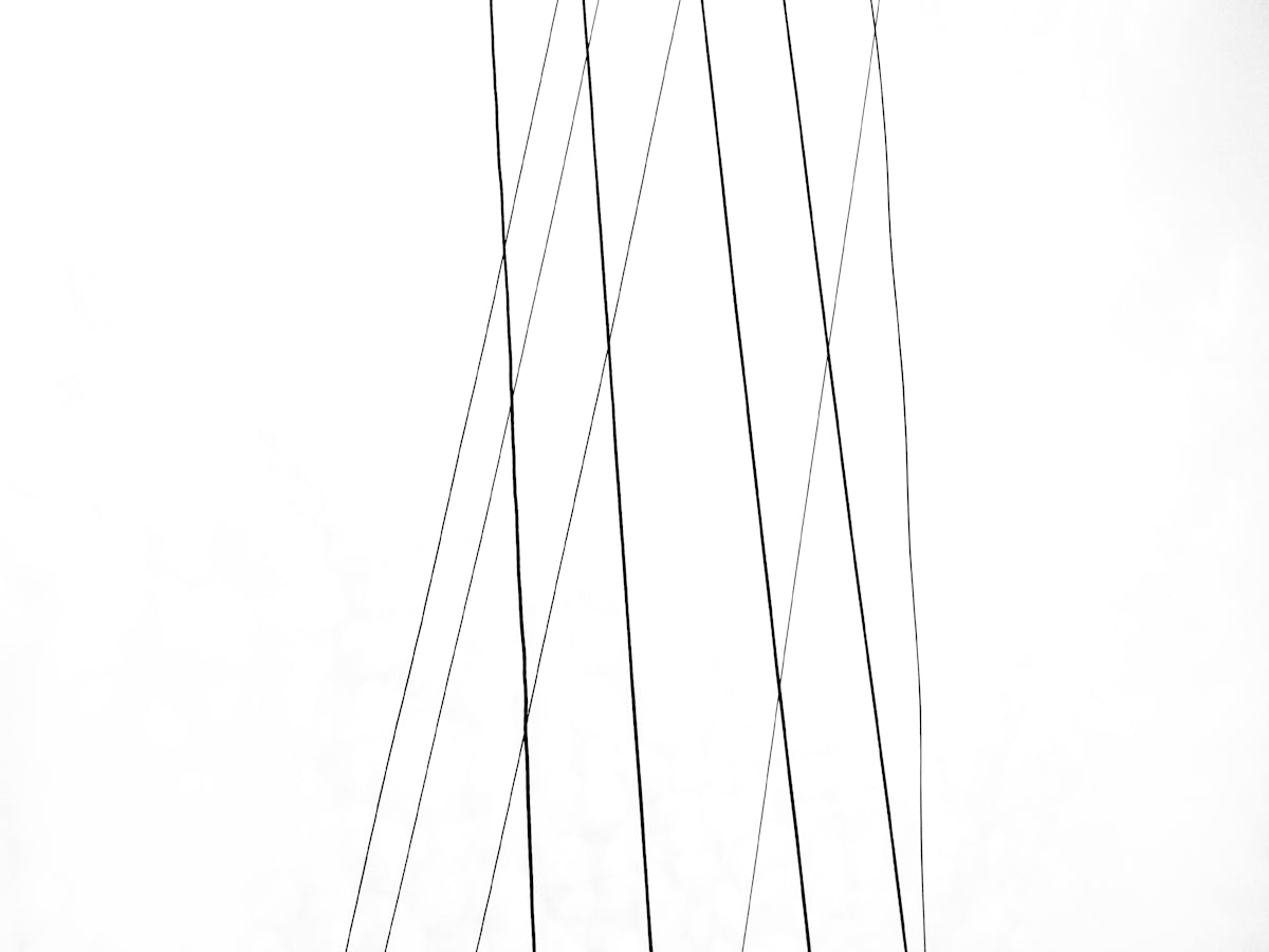 black and white line illustration