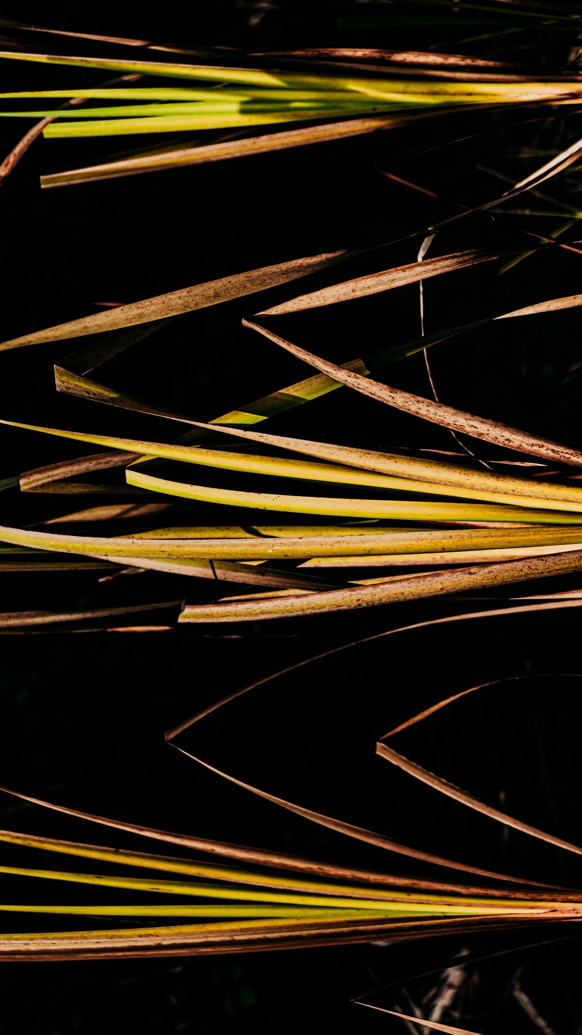 brown and green abstract illustration