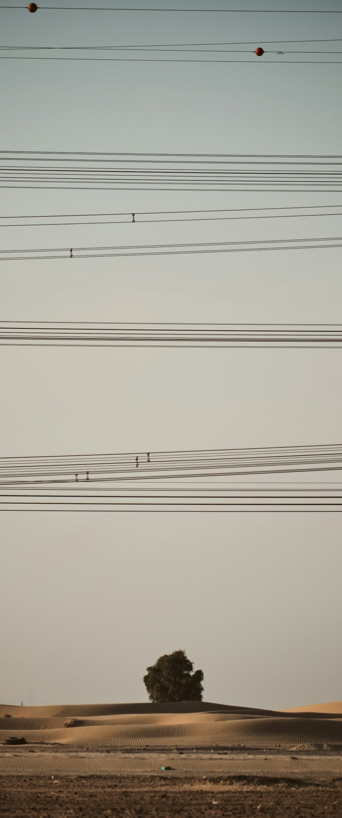 a lone tree in the middle of a desert