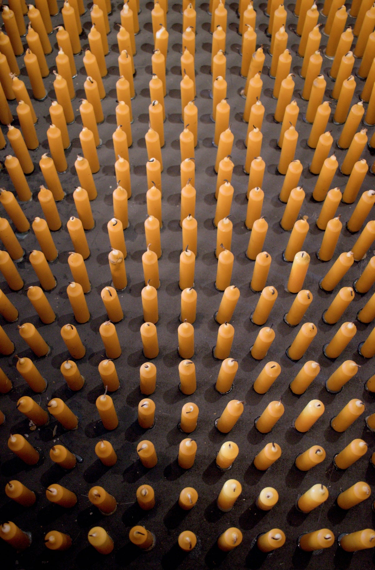 A group of orange objects are arranged in a pattern