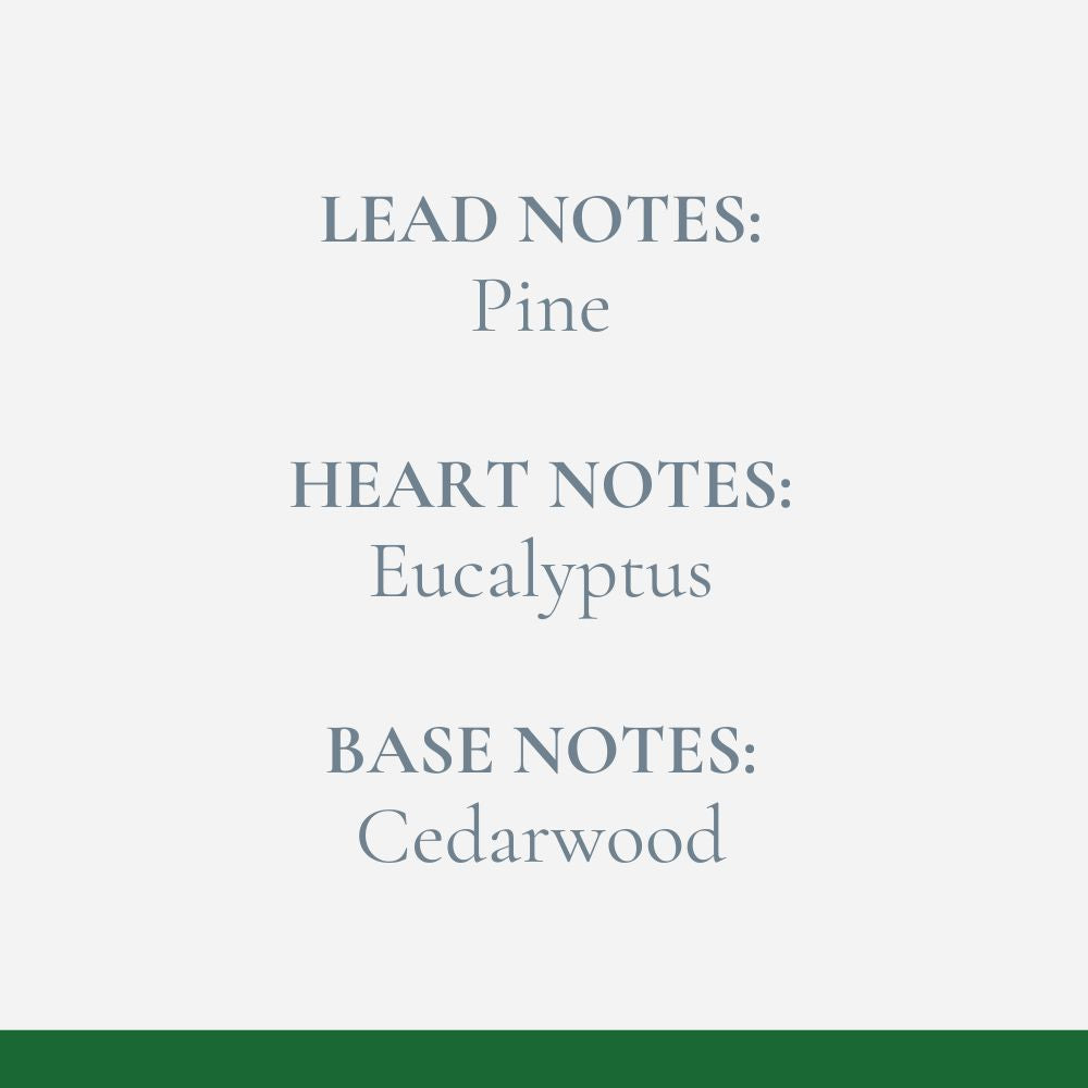 Norwegian Spruce Reed Diffuser
