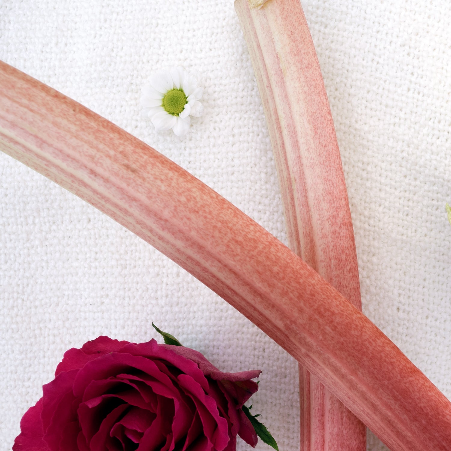 Rose & Rhubarb Wax Melts - 16 Pack